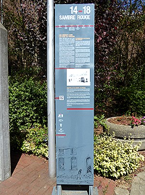 B1